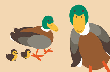 Wild Duck smiley face cartoon illustration. This simple happy smiling farm animal is made of circles, ellipses, and egg shapes. Full vector artwork