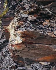 Layered rock of jurassic cliff in Kimmeridge Bay, Devon, prehistoric rocks containing dolomitic limestone and Fossils occur commonly throughout the Kimmeridge Clay (shells of ammonites and bivalves)