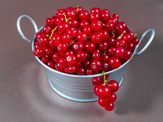 A metal basin filled with red currants