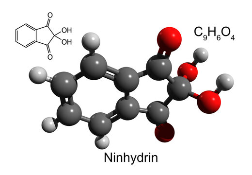 Chemical formula, structural formula and 3D ball-and-stick model of ninhydrin, a chemical used to detect ammonia or primary and secondary amines, white background