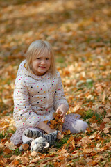 Adorable blond girl sitting on yellow fallen leaves playing with her favorite toy grey cat on a beautiful autumn day. Playing outdoors in the park.