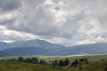 View of alpine plateau above Rolle Pass towards the north, with the back to Pale di San Martino mountain group, Parco Naturale Paneveggio-Pale di San Martino, Dolomites, Trentino-Alto Adige, Italy.