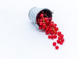 A metal basin filled with red currants