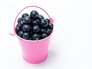Pink bucket on a white background filled with black currants