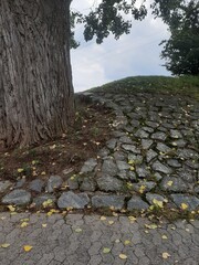 
decorative stone pavement road in the park