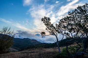Obraz premium sunrise in the mountains with morning fog from early autumn