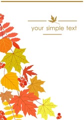 Banner design with autumn leaves. Vector illustration