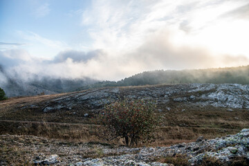 sunrise in the mountains with morning fog from early autumn