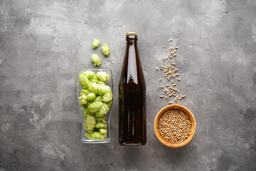 Hops and barley with beer on a gray background, top view.