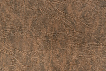 Fragment of a sheet of genuine leather. Background. Texture.