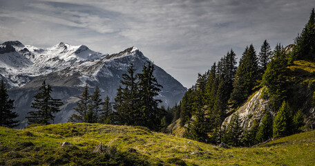 Wonderful panoramic view over the Swiss Alps - view from Schynige Platte Mountain - travel photography