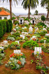 cemetery