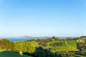 Obraz premium Waiheke landscape in early morning light.