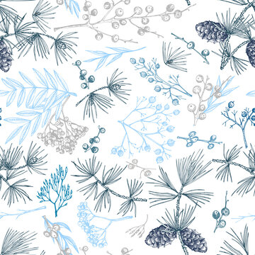 Winter christmas seamless pattern with twigs, berries, and leaves of plant isolated on white background. Hand-drawn vintage sketch botanical illustration Engraving style Flat color vector illustration
