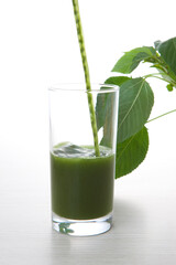 青汁(モロヘイヤ)