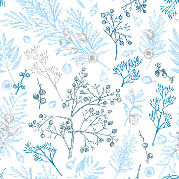 Winter christmas seamless pattern with twigs, berries, and leaves of plant isolated on white background. Hand-drawn vintage sketch botanical illustration Engraving style Flat color vector illustration