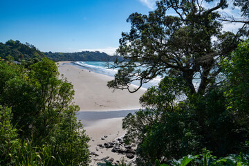 Fototapeta na wymiar View along Onetangi Beach from surrounding hills and between trees.