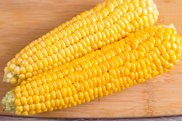 Corn lies on canvas. Fresh corn closeup. Corn cob on a plate. Sweet corn on background for food ingredients and cooking concept.