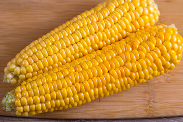 Corn lies on canvas. Fresh corn closeup. Corn cob on a plate. Sweet corn on background for food ingredients and cooking concept.