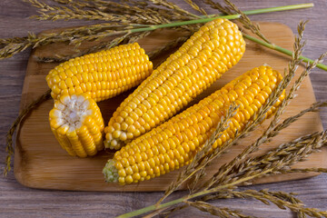 Corn lies on canvas. Fresh corn closeup. Corn cob on a plate. Sweet corn on background for food ingredients and cooking concept.
