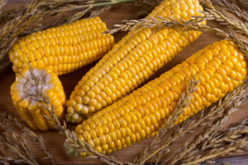 Corn lies on canvas. Fresh corn closeup. Corn cob on a plate. Sweet corn on background for food ingredients and cooking concept.
