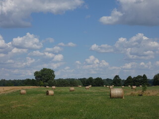Rural landscape with haystacks on green field, blue sky with some clouds on a summer day, Mazury Province, Poland