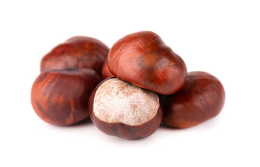 Horse chestnuts fruits, isolated on white background. Aesculus hippocastanum.