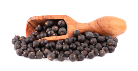 Dry juniper berries, isolated on white background. Common Juniper fruits in wooden scoop.