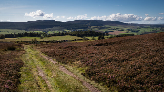 Simonside Hills and Coquetdale from above Rothbury