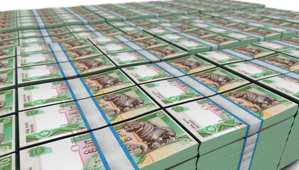 3D Large Stack of Sri Lankan Rupee Banknote