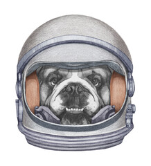 Astronaut. Portrait of English Bulldog in a space helmet. Hand-drawn illustration