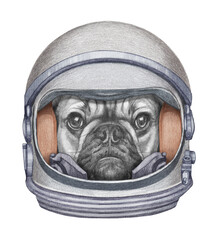 Astronaut. Portrait of French Bulldog in a space helmet. Hand-drawn illustration
