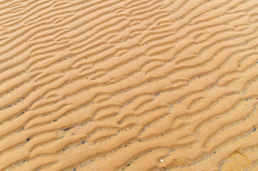 sand texture