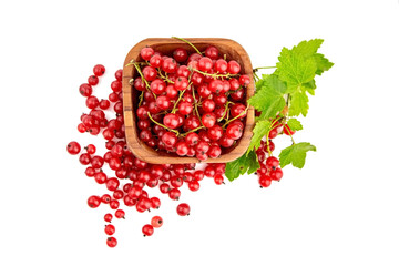 Bowl with red currant berries isolated on white