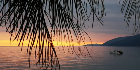 Boat in the branches of palm trees at sunset in the sea