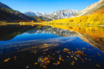 Obraz premium North Lake Fall Color, Eastern Sierra, California