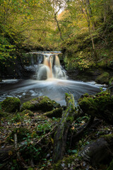 Hareshaw Linn Waterfall Trail, Northumberland National Park, Northumbria, UK. Autumn. 