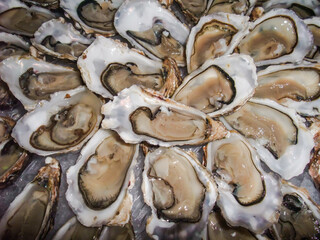 Fresh Oyster display