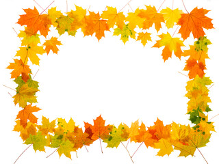 Naklejka na ściany i meble Maple autumn leaves frame on isolated white background