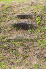 Obraz premium stair hidden in the grass