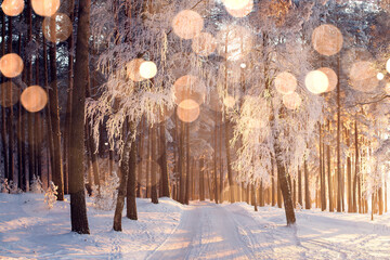 Christmas background