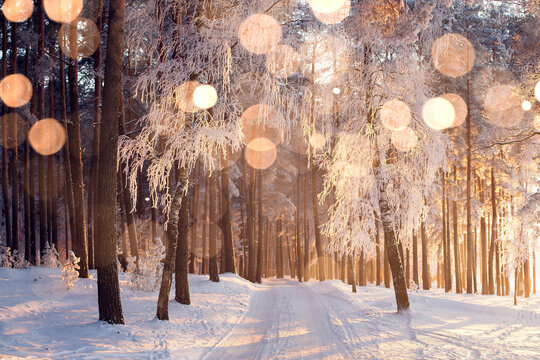 Christmas background