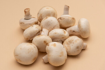 mushrooms on the table