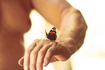 butterfly on hand