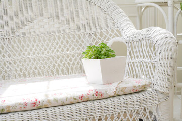 ガーデンルームの椅子とグリーンの植物