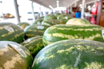 Pile of fresh ripe watermelons lying in wooden boxes in fruit