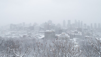 Montreal cityscape during a snowstorm with an impressive blizzard in winter, view from the famous Kondiaronk belvedere 