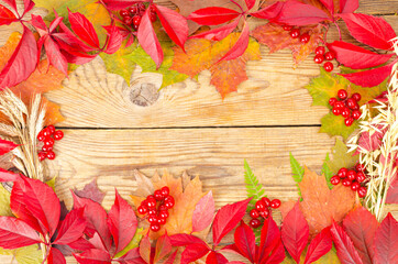 Naklejka na ściany i meble Collage, frame from autumn bright leaves and berries on wooden background. Studio Photo