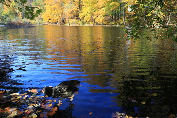The beauty of autumn colors in the forests reflects off a lake in upstate New York.
