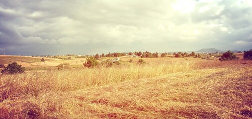 sunset over the field